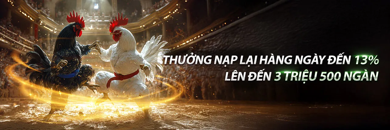Đá Gà Trực Tuyến nh88c